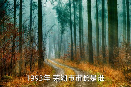 1993年 芜湖市市长是谁