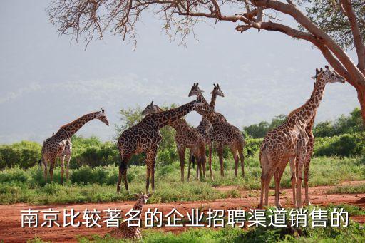  南京比较著名的企业招聘渠道销售的