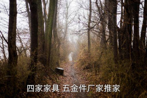 四家家具 五金件厂家推家
