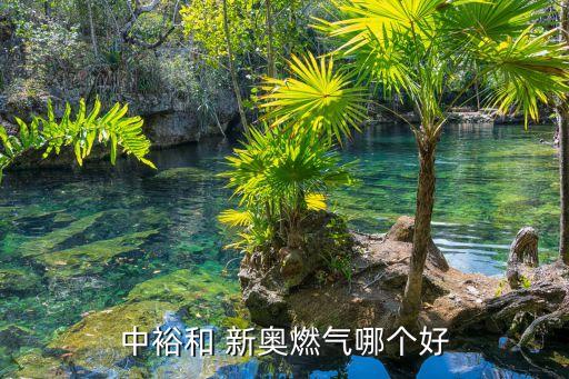 中裕和 新奥燃气哪个好