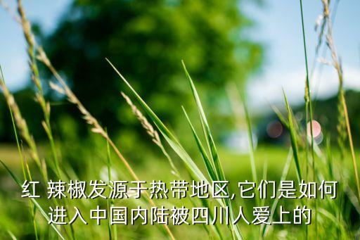 红 辣椒发源于热带地区,它们是如何进入中国内陆被四川人爱上的