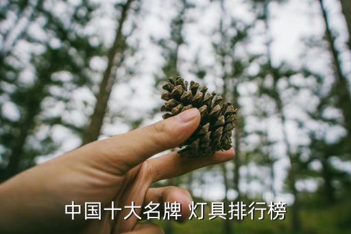 中国十大名牌 灯具排行榜