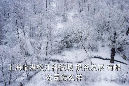 人天投资有限公司,天投资有限公司做得好的项目有哪些