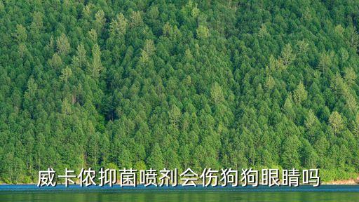 威卡顿科技发展有限公司,鹤山市鹤威科技发展有限公司