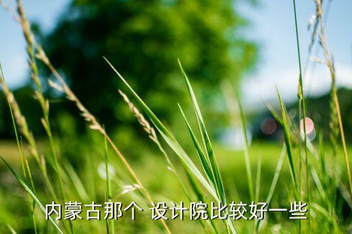 内蒙古那个 设计院比较好一些