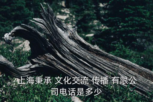 上海悠唯文化传播有限公司,上海朝悠文化传播有限公司