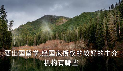 要出国留学,经国家授权的较好的中介机构有哪些