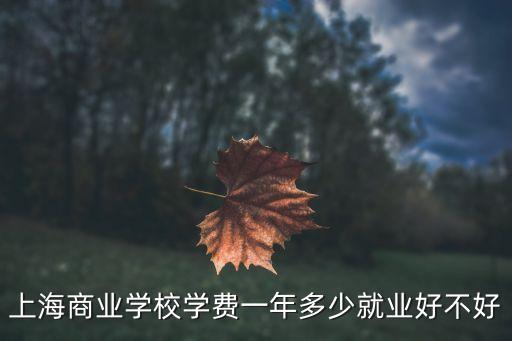 上海商派网络科技有限公司地址