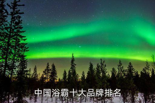 中国浴霸十大品牌排名