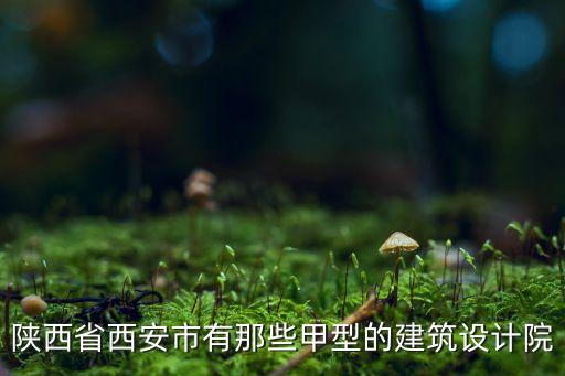 抚顺市华宇建筑工程有限公司,齐齐哈尔华宇建筑工程有限公司