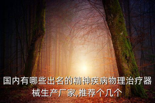 国内有哪些出名的精神疾病物理治疗器械生产厂家,推荐个几个