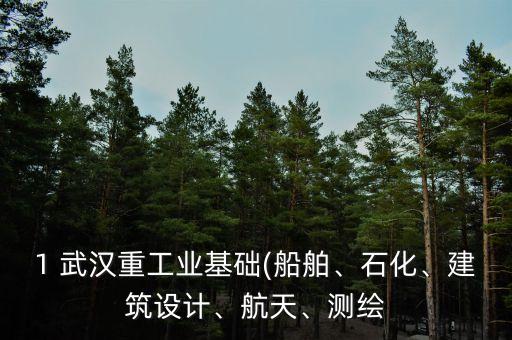 1 武汉重工业基础(船舶、石化、建筑设计、航天、测绘