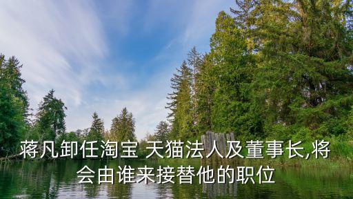 蒋凡卸任淘宝 天猫法人及董事长,将会由谁来接替他的职位