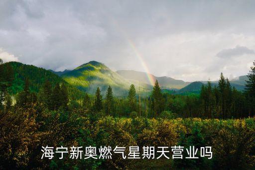 嘉兴市天然气有限公司,河南省天然气管网有限公司