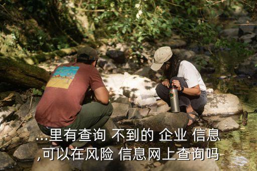 ...里有查询 不到的 企业 信息,可以在风险 信息网上查询吗