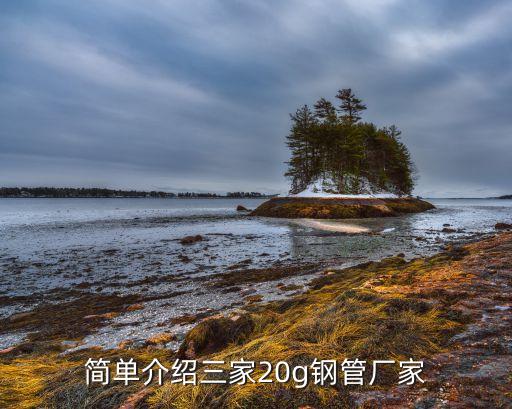 简单介绍三家20g钢管厂家
