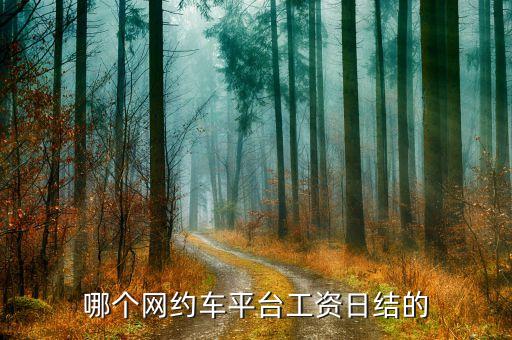 哪个网约车平台工资日结的