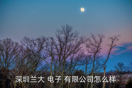 深圳兰大 电子 有限公司怎么样