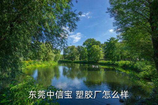 东莞中信宝 塑胶厂怎么样