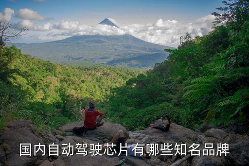 国内自动驾驶芯片有哪些知名品牌