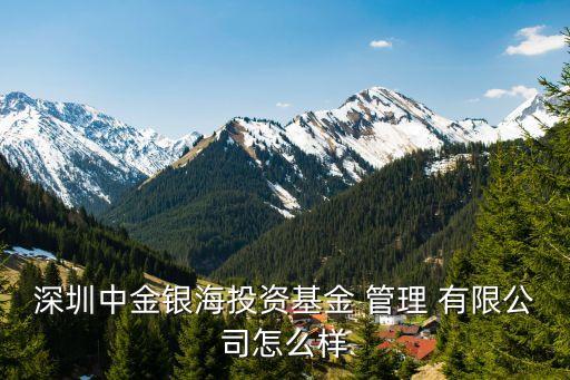 深圳中金银海投资基金 管理 有限公司怎么样