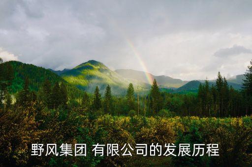 野风集团 有限公司的发展历程