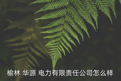 榆林 华源 电力有限责任公司怎么样
