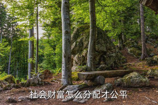 社会财富怎么分配才公平