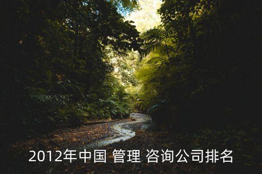 2012年中国 管理 咨询公司排名