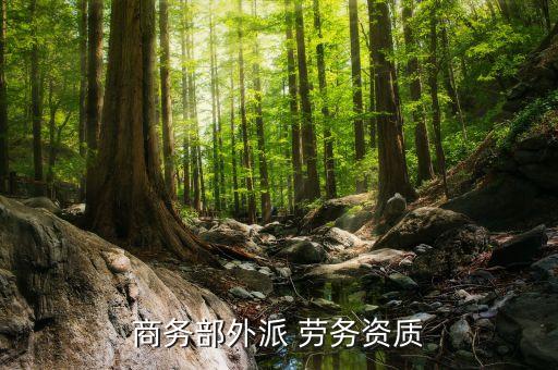 商务部外派 劳务资质