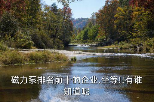 磁力泵排名前十的企业,坐等!!有谁知道呢
