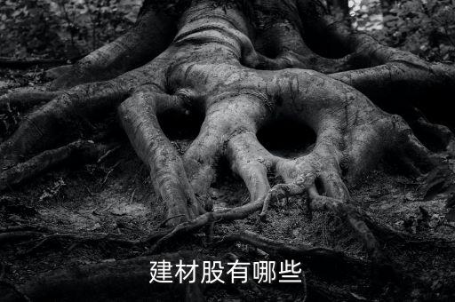 建材股有哪些