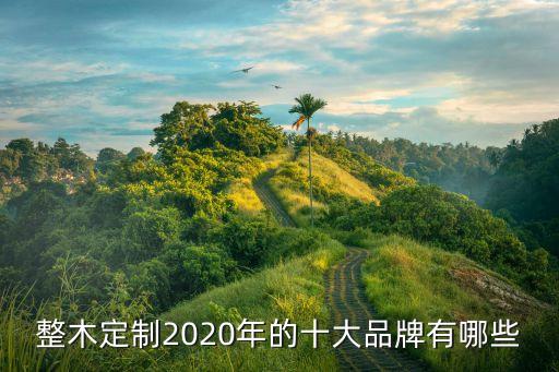 整木定制2020年的十大品牌有哪些