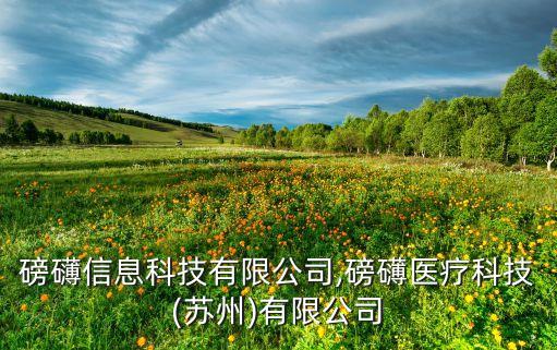 上海磅礴信息科技有限公司,磅礴医疗科技(苏州)有限公司