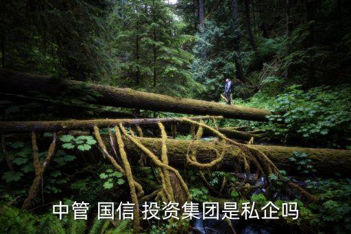 北京国信投资担保有限公司,山西国信建设工程担保有限公司