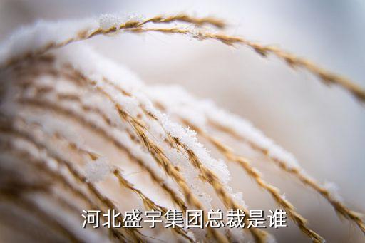  河北盛宇集团总裁是谁