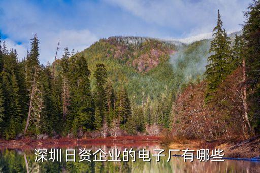 深圳日资企业的电子厂有哪些