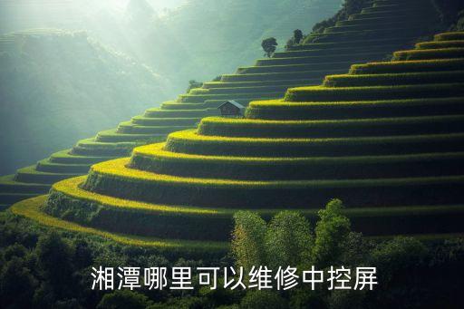  湘潭哪里可以维修中控屏