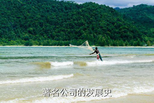 著名公司的发展史