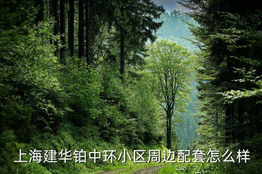  上海建华铂中环小区周边配套怎么样