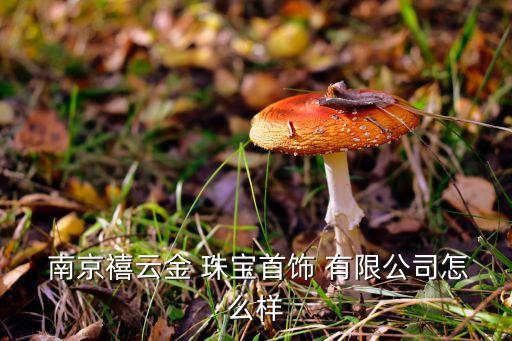  南京禧云金 珠宝首饰 有限公司怎么样