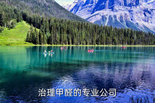 治理甲醛的专业公司