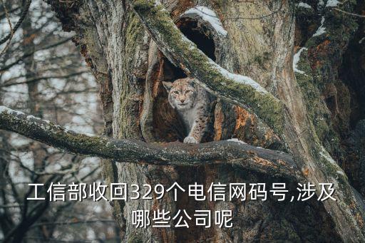 工信部收回329个电信网码号,涉及哪些公司呢