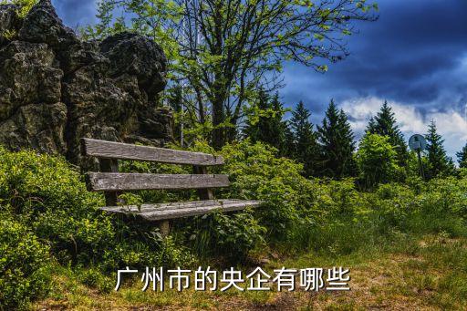 广州市的央企有哪些