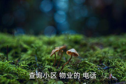 查询小区 物业的 电话