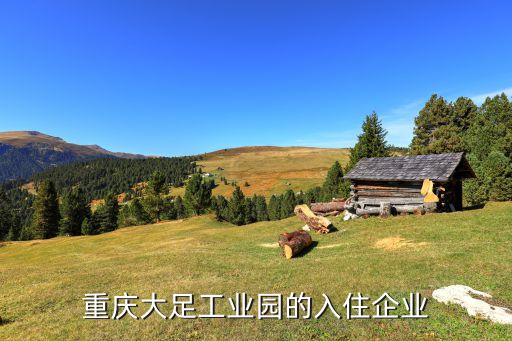 重庆大足工业园的入住企业