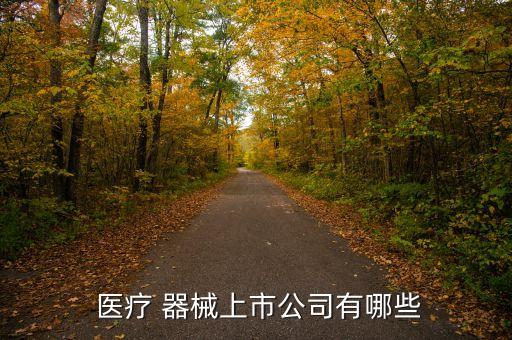 上海国兴医疗器械有限公司,上海微创医疗器械有限公司