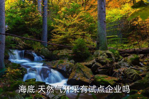 海底 天然气开采有试点企业吗