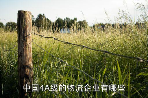 中国4A级的物流企业有哪些