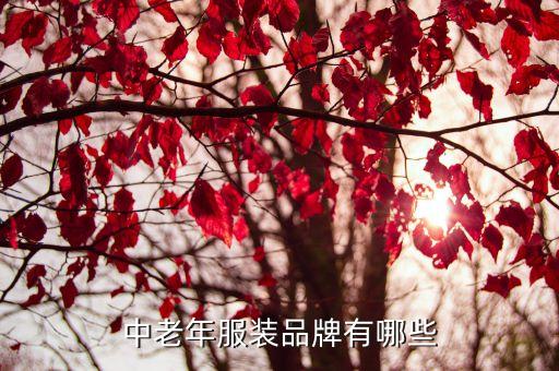 中老年服装品牌有哪些